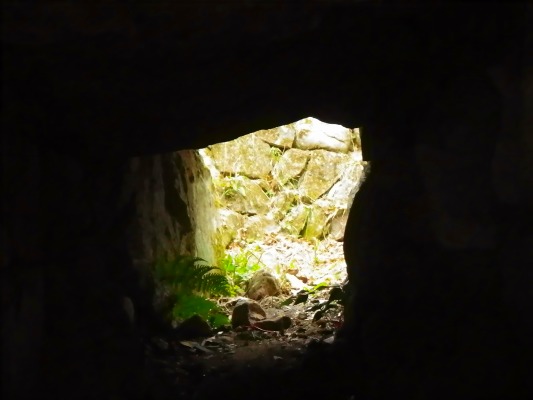 f0187402_20312048.jpg