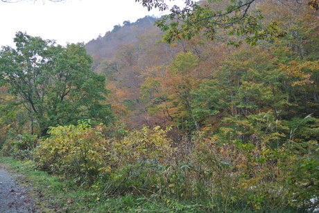 c0242406_10123910.jpg