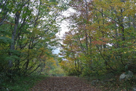 c0242406_10195662.jpg