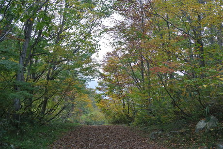 初秋の谷川岳虹芝寮へ_c0242406_10195662.jpg