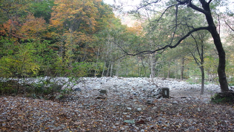 c0242406_1083448.jpg