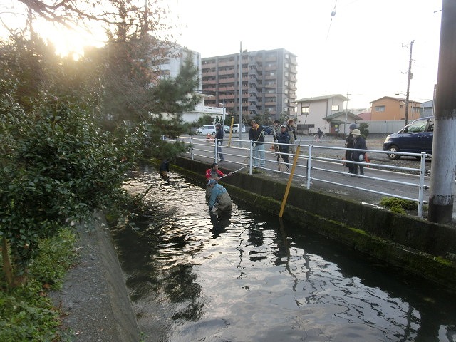 今年最後の「田宿川の川そうじ」　私は切った枝の片付けですが…。_f0141310_714014.jpg