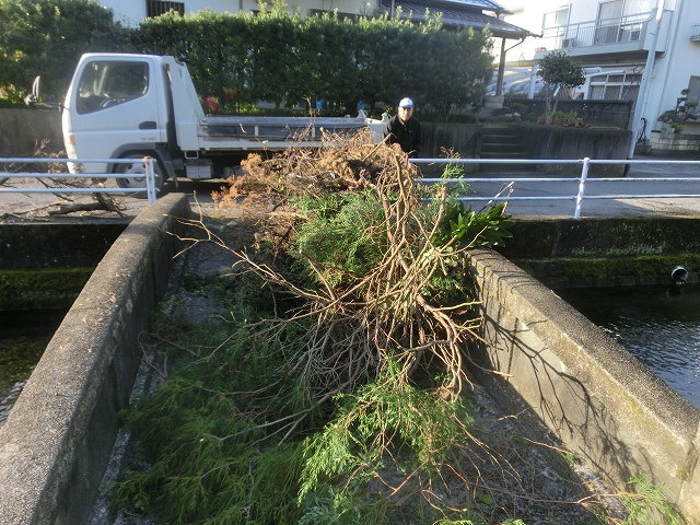 今年最後の「田宿川の川そうじ」　私は切った枝の片付けですが…。_f0141310_723041.jpg
