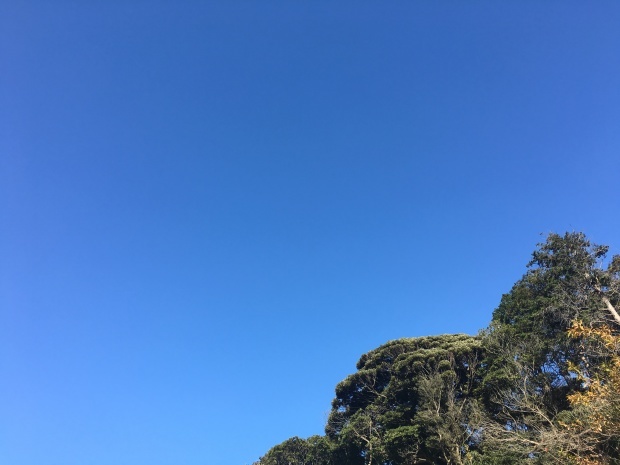 e0172219_18333505.jpeg