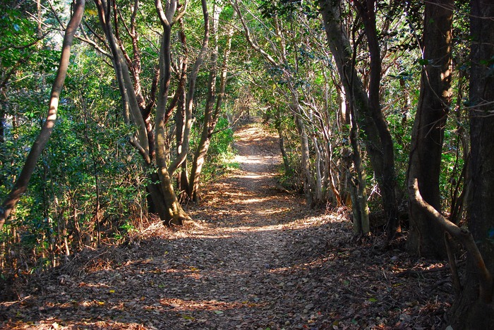 f0174419_2246484.jpg