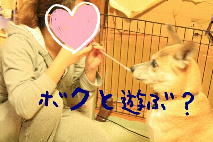 f0282319_02221081.jpg