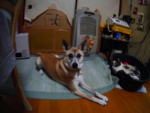 f0282319_15570395.jpg
