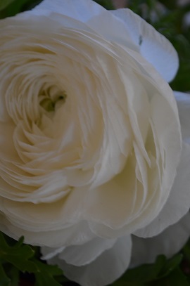 ■DIY。古い棚をプチイメチェン。_d0350221_12322059.jpg