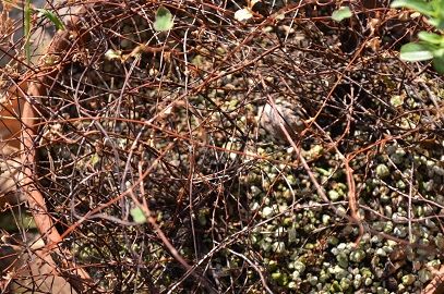 d0350221_12344991.jpg