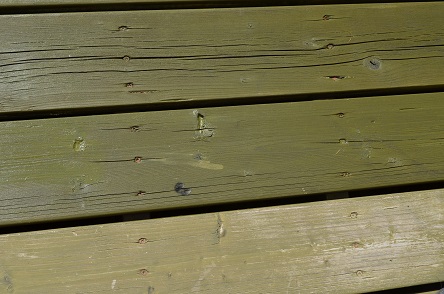 d0350221_12350016.jpg