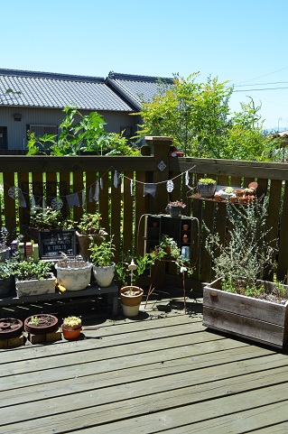 d0350221_12375119.jpg