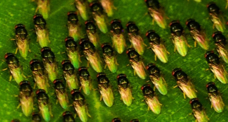c0369423_20363590.jpg