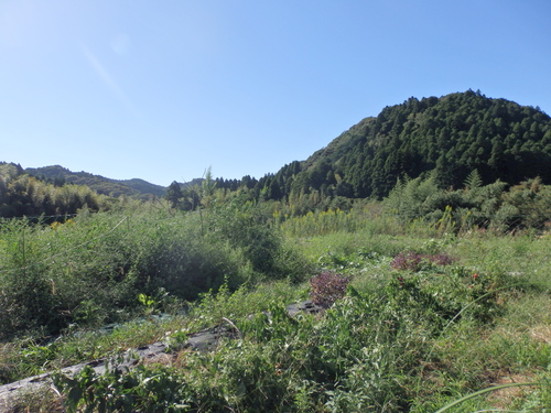 d0233324_23271048.jpg