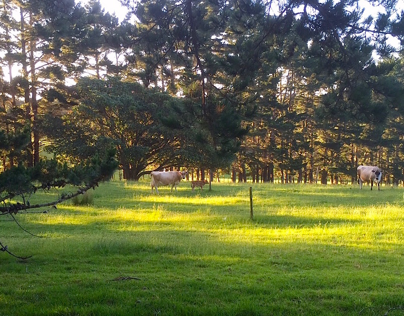 e0310424_16262266.jpg