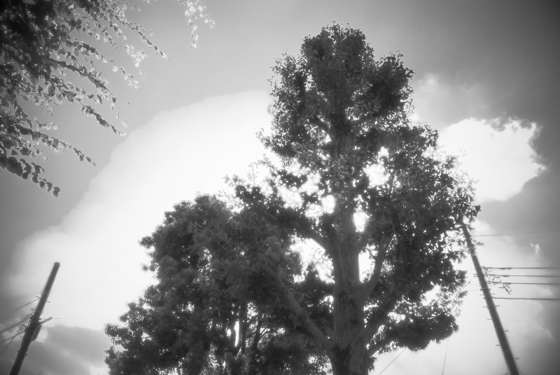 c0109827_17282858.jpg
