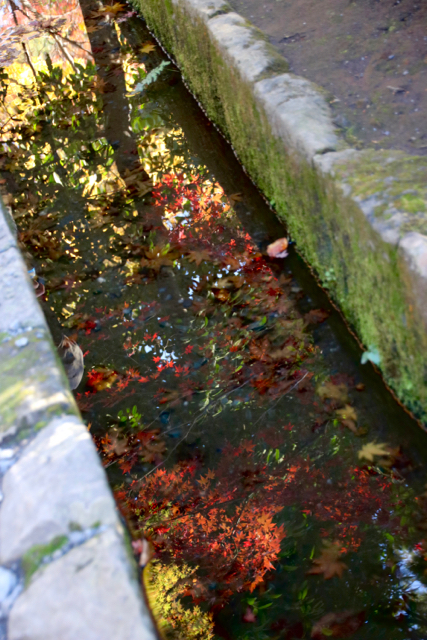 f0348831_21442538.jpg