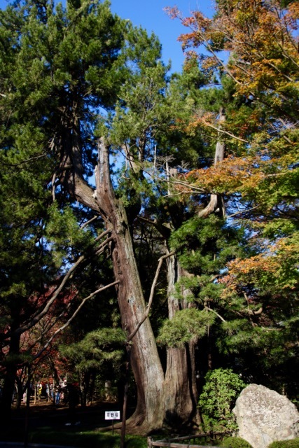 f0348831_21451430.jpg