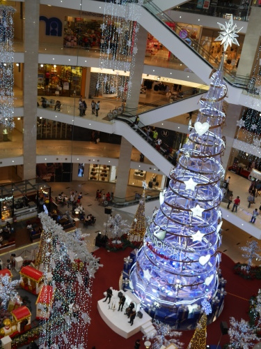 f0339434_17500374.jpg