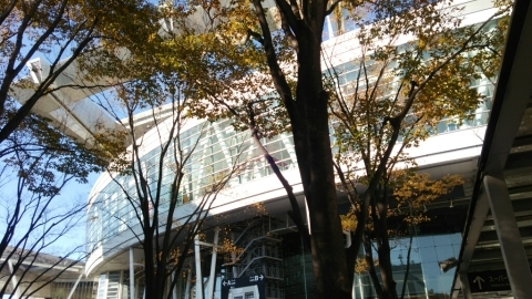 c0267235_21343058.jpg