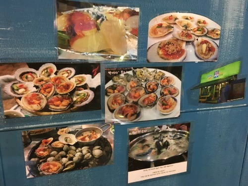 a0158241_17341022.jpeg