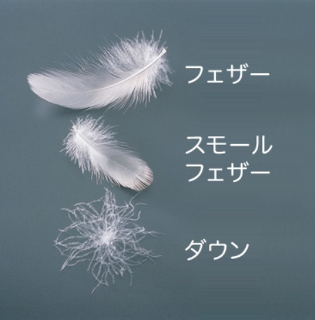 The Viridi Anneのハイネックダウンブルゾンがなぜこんなに売れるのか Addict Blog The Viridi Anneのハイネックダウンブルゾンがなぜこんなに売れるのか Addict Blog