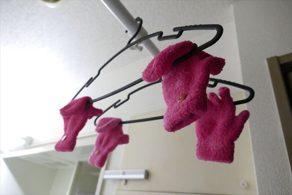 【なり鉄】になるために!? 手袋編2_d0179447_1464742.jpg