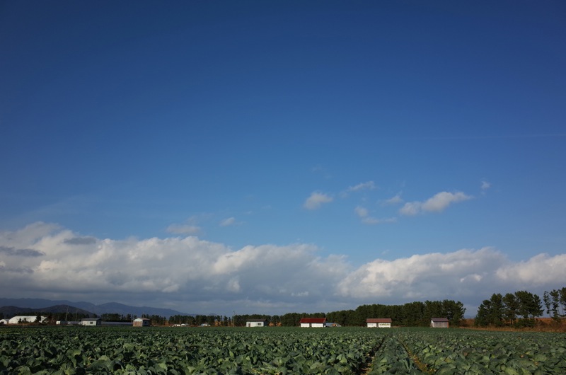 12月の空_f0169147_179032.jpg