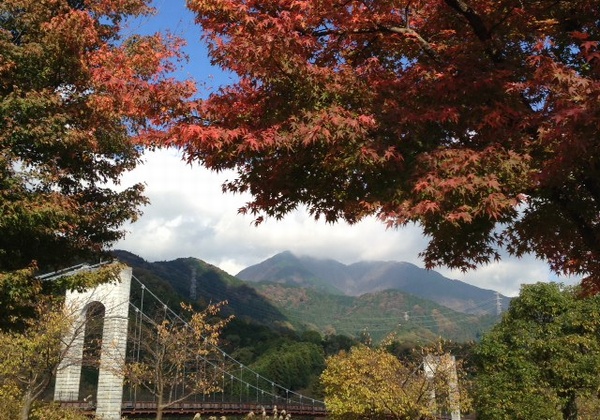 秦野戸川公園の紅葉_c0171849_14163186.jpg