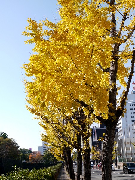　　和歌山便り_b0093754_19571445.jpg