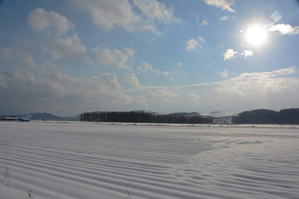 d0333958_23402284.jpg
