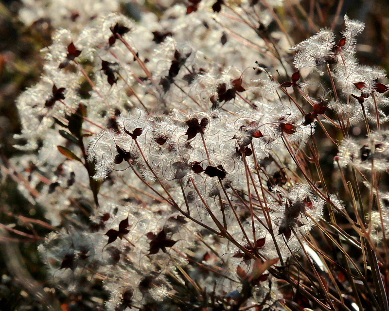 c0305565_17595597.jpg