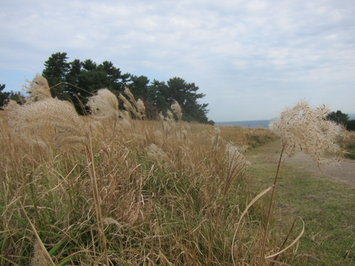 Autumn Kyushu-7._c0153966_10214011.jpg