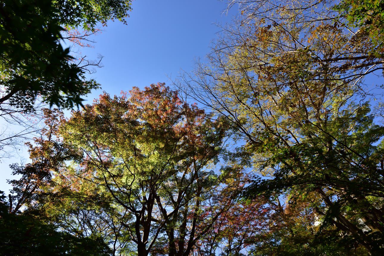b0346568_20590412.jpg