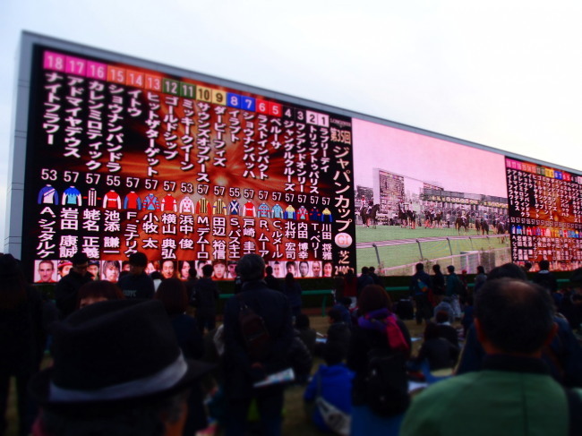 父と娘の興行競馬ツアーIN東京競馬場_c0122670_22083304.jpg