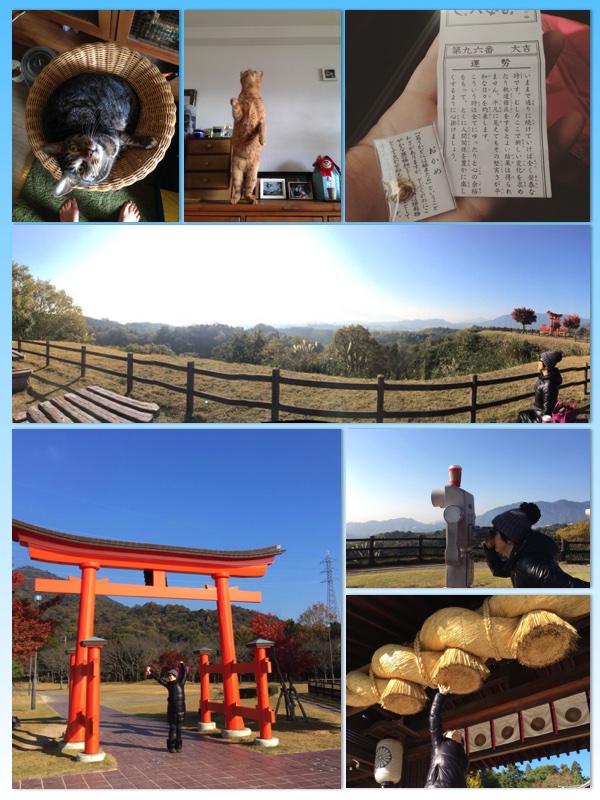 師走 ✖︎ 御朔参り_e0158970_15344178.jpg
