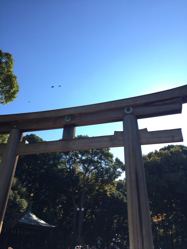 お朔のお参り 2015年師走_e0326573_17321426.jpg