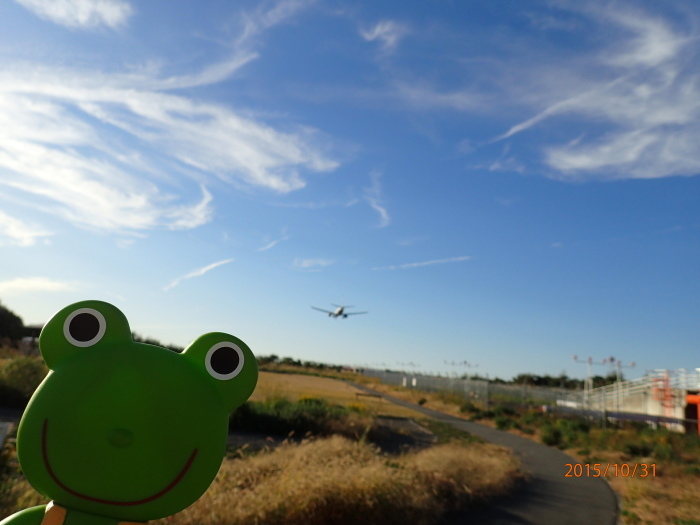 富士山静岡空港　展望広場（だいだらぼっち広場）空見石のあなから飛行機を見ると少し大きく見える・・・_c0349574_08561743.jpg