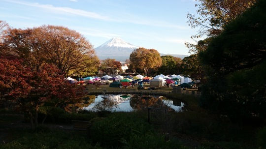 b0224776_10232979.jpeg