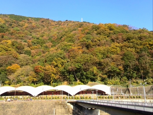 c0369492_09523255.jpg