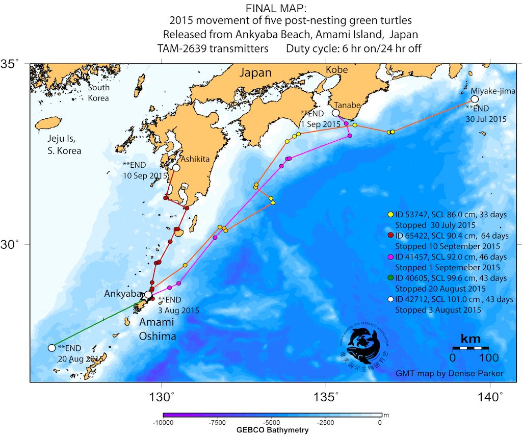 11/27-29 第26回日本ウミガメ会議(いちのみや千葉会議)_a0010095_426225.jpg