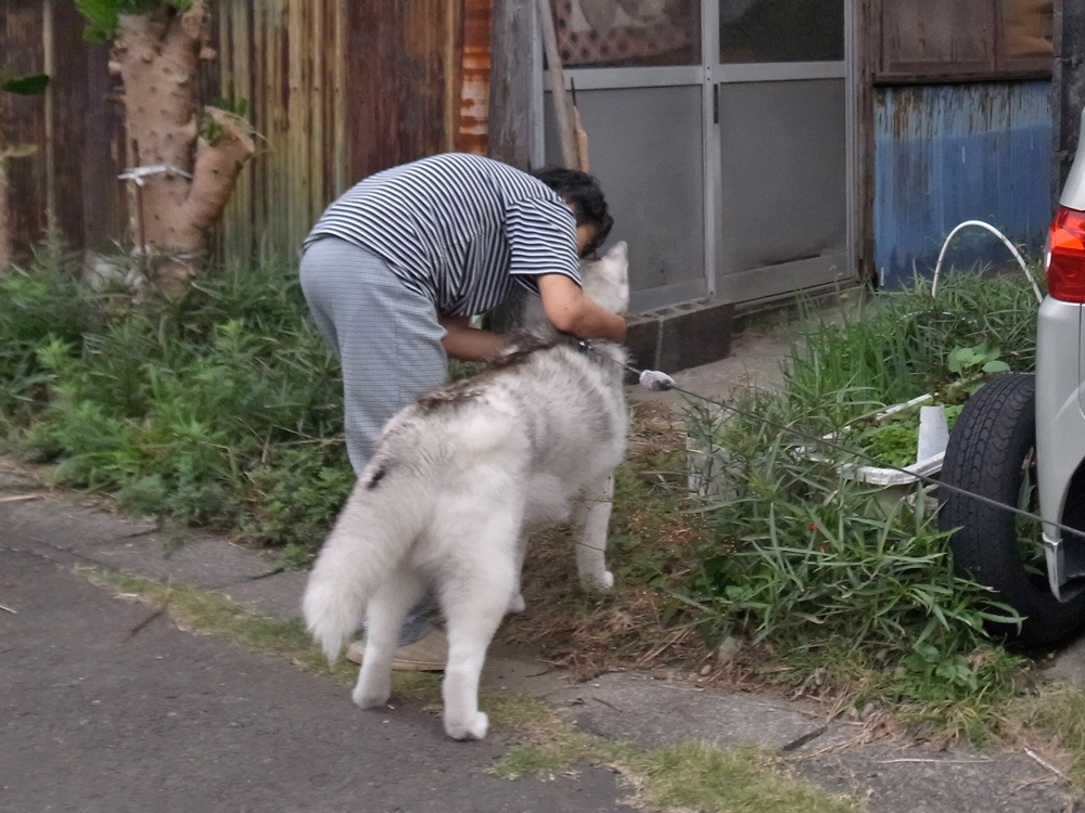 ついにご対面!! (^o^)_c0049299_2285418.jpg