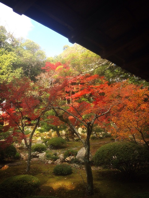 京都 旧嵯峨御所　大覚寺_d0321300_15364026.jpg