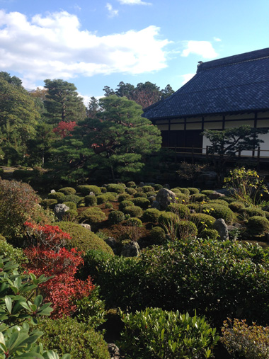 京都　妙心寺（大法院・退蔵院）等持院_d0321300_16182625.jpg