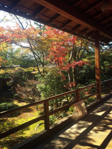 京都　妙心寺（大法院・退蔵院）等持院_d0321300_166492.jpg