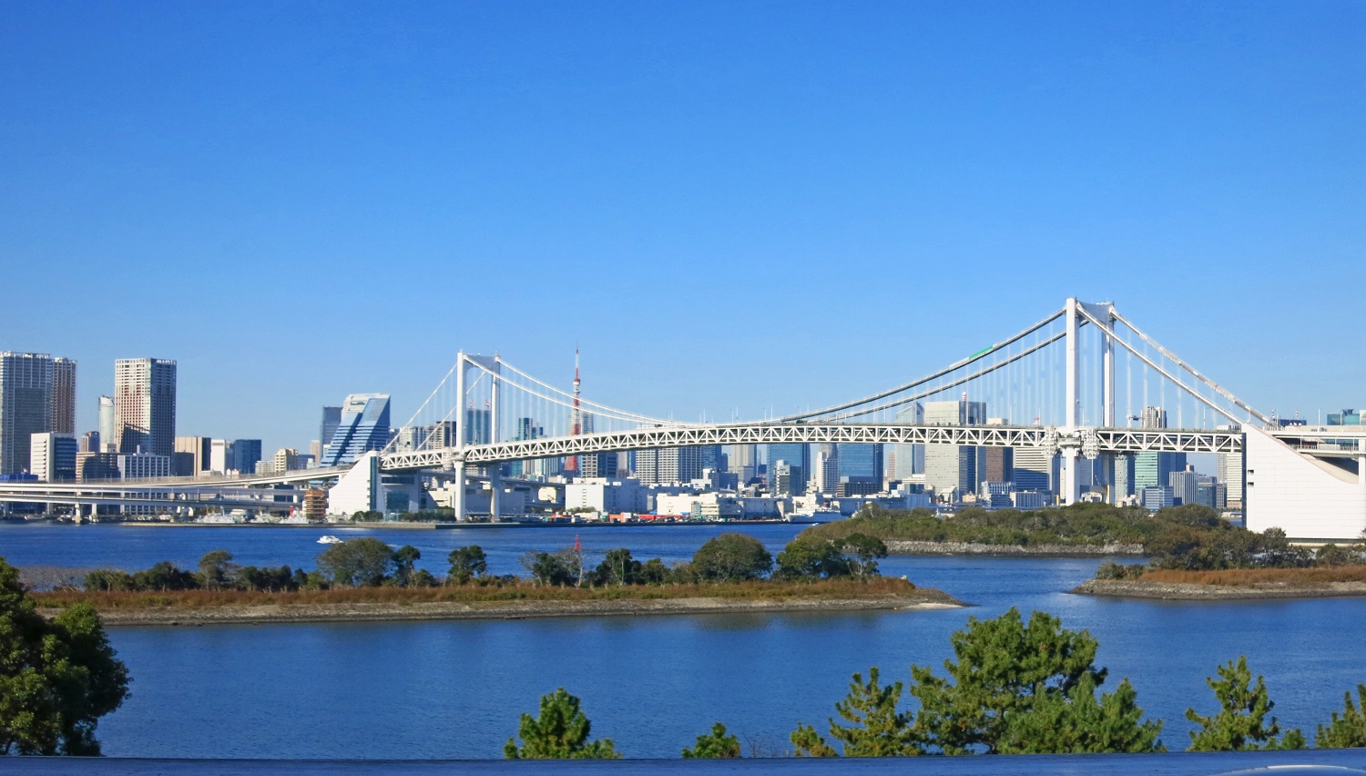 ヒルトン東京お台場・天ぷら吉野_b0083801_4123530.jpg