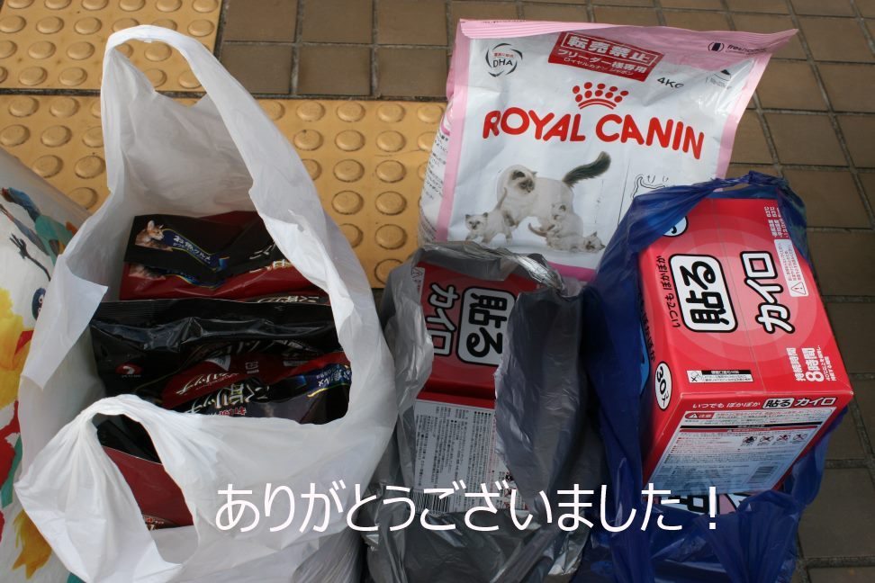 カイロのお礼と里親会の案内_f0242002_0452617.jpg