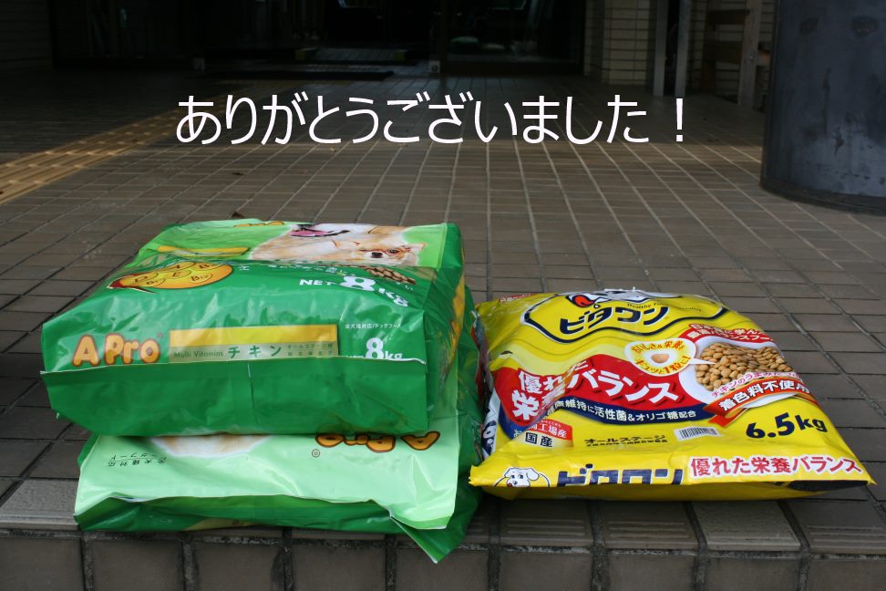 カイロのお礼と里親会の案内_f0242002_0464557.jpg