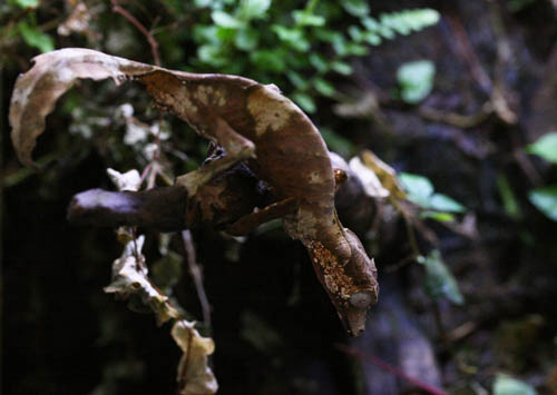 c0165803_18454738.jpg
