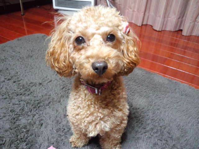 f0197703_19114684.jpg