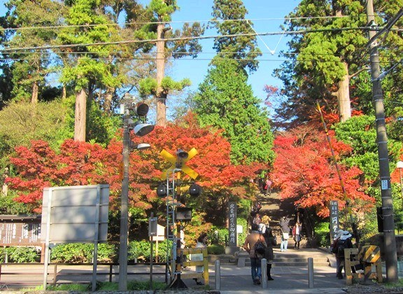 e0245404_10545216.jpg